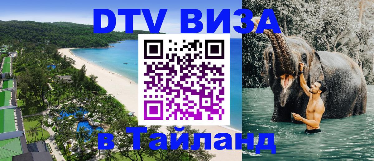 Оформление DTV визы под ключ: стоимость и тарифы, только загранпаспорт - 